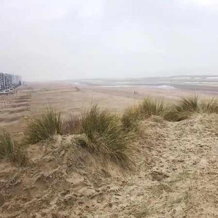 Apartment Renovated With A Location On A Dike Koksijde