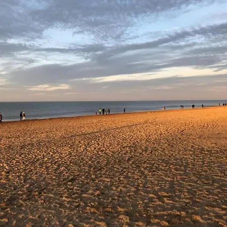 Renovated With A Location On A Dike * Koksijde